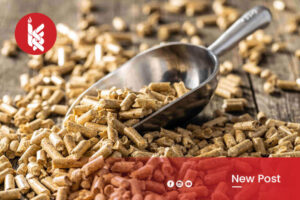 artkel kitasemuacuan rev 3