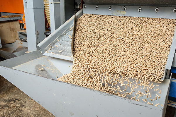 photo - kita semua cuan - 3