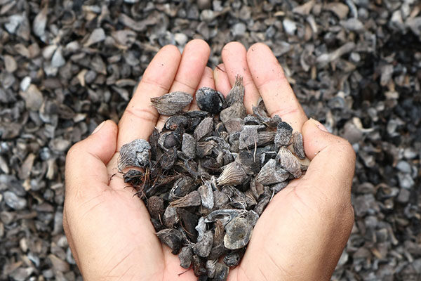 photo - kita semua cuan - 4