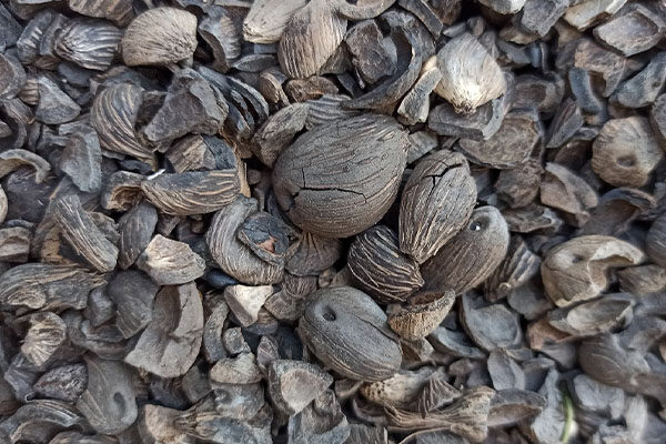 photo - kita semua cuan - 5