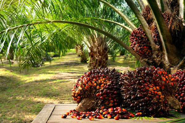 photo - kita semua cuan - 8